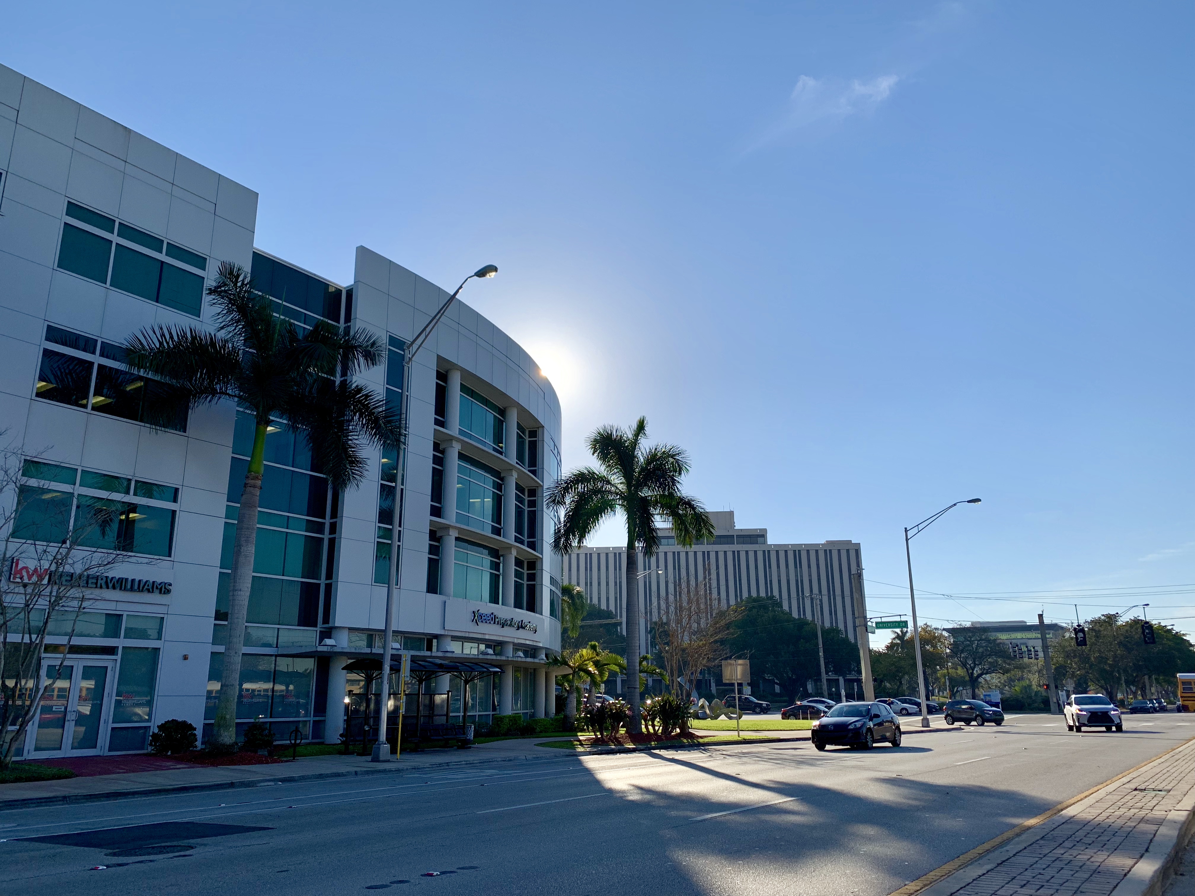 Tree-lined boulevard in Coral Springs, Florida