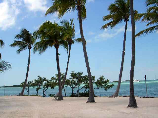 Sport fishing boats in Islamorada, Florida