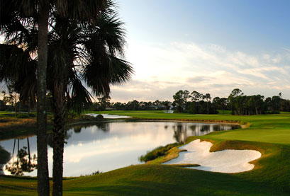 Riverfront and palm trees in Port St. Lucie, Florida